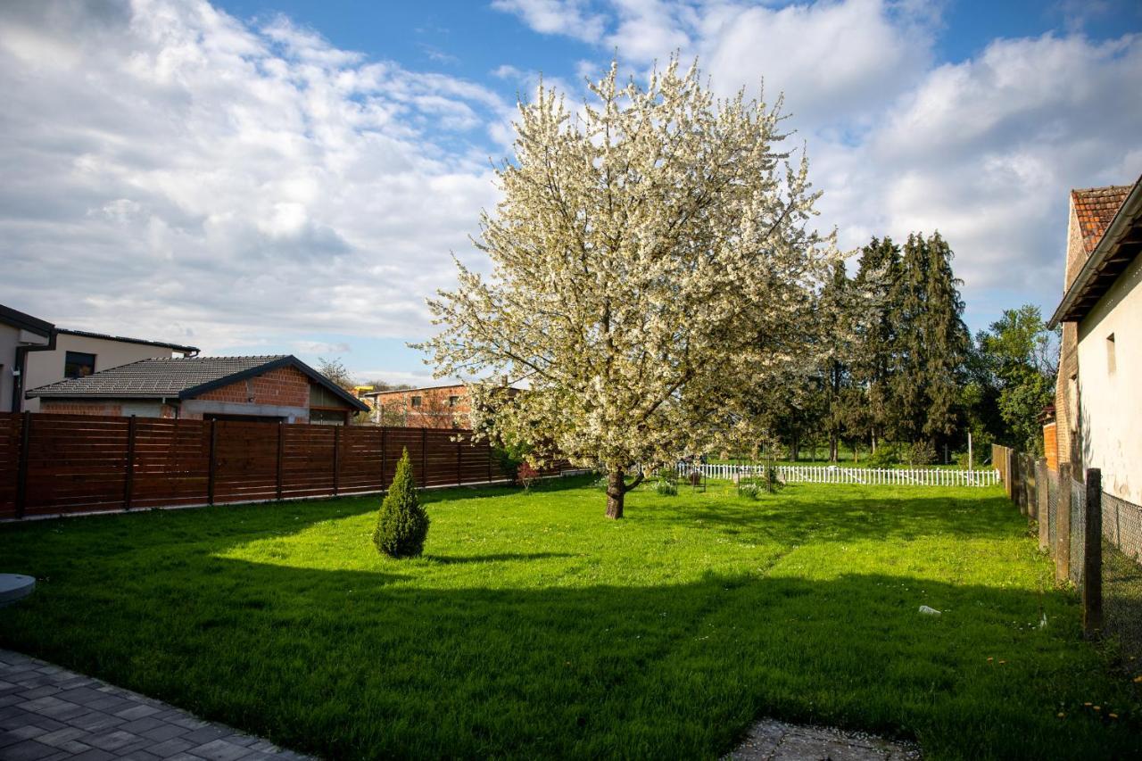 Apartman Ena Б'єловар Екстер'єр фото